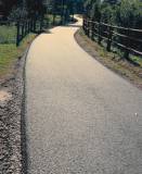 P1070909-w1200-h1200