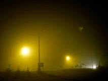 P1540698-w1200-h1200