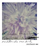 12-blume-3