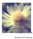 12-blume-4