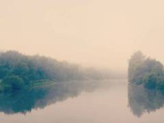 P1070435-w1200-h1200