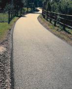 P1070909-w1200-h1200