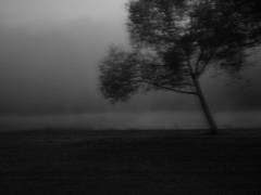 P1440237-w1200-h1200