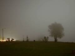 P1440246-w1200-h1200