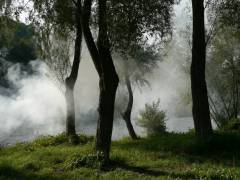 P1540561-w1200-h1200