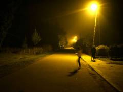 P1540647-w1200-h1200