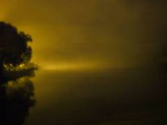 P1540683-w1200-h1200