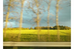 s_road-21