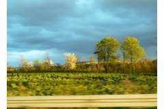 s_road-41