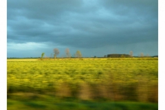 s_road-51