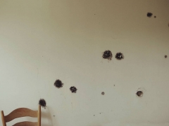 P1540721-w1200-h1200