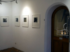 P1130951