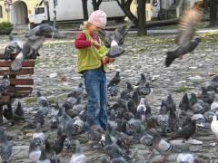 Przemysl-04-Rynek-13