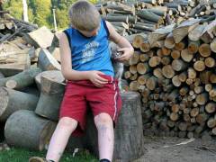 Przemysl-area-06-14