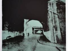 23-Cologne-2-70x50-serigraphy