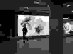 405735352_853896350074340_2166114765588484979_n