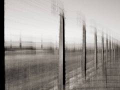 24-05-Brenner-Wolfgang-Fence