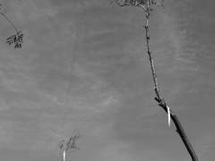 22-06-AlmeTornado-039